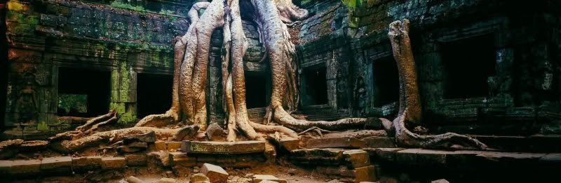 Angkor Wonder. Ancient ruins of Angkor Wat with with tree roots and temple