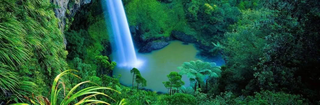 Waterfall falling to pool below at Bridal Veil Falls, Waikato, New Zealand.