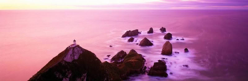 Guardian of the coast, Nugget Point, New Zealand with lovely dawn light