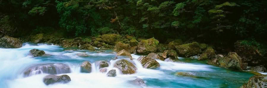 Fiordland