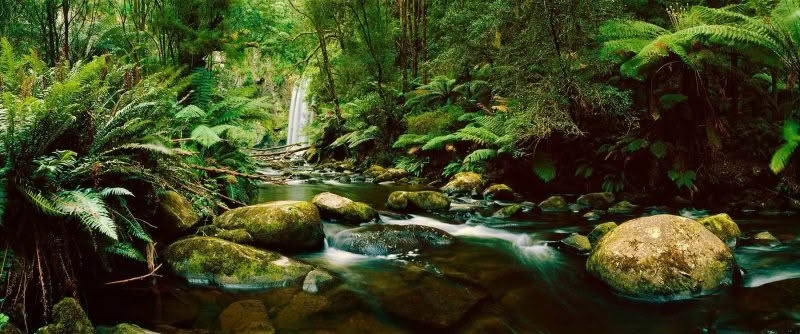 Hopetoun Falls. A river runs through the foreground with Hopetoun Falls and lush forest in Victoria, Australia.
