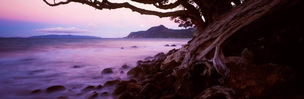 Kuaotunu Beach, Coromandel Peninsula, New Zealand. A Limited Edition Fine Art Landscape Photograph by Richard Hume