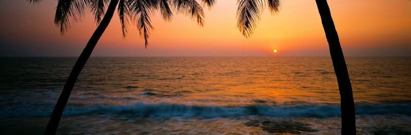Mystic. Palolem Beach, Goa, India. The sun sets between two palm trees at Palolem Beach.