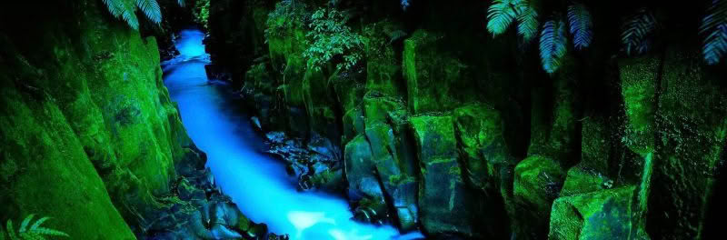Te Whaiti Nui a Toi Canyon, Wirinaki Forest, New Zealand. A stream runs through the moss covered cliffs of this stunning canyon.