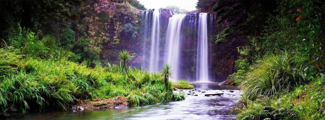 New Zealand Landscape Photography Whangarei Falls. Stunning waterfall with river in foreground in Whangarei, New Zealand