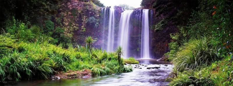 Whangarei Falls. Stunning waterfall with river in foreground in Whangarei, New Zealand