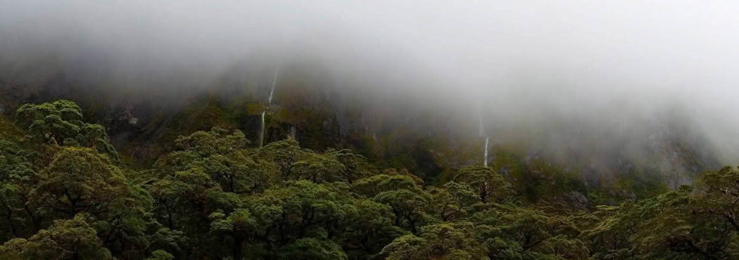 Misty Moods, Fiordland. A Limited Edition Fine Art Landscape Photograph by Richard Hume