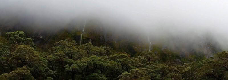 Misty, Fiordland. mist partially covers a forested moountain with two cascades also