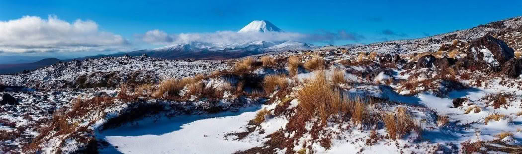 New Zealand Landscape Photography Ngauruhoe Winter. Mt Ngauruhoe on a clear winters day with snow and foliage in foreground