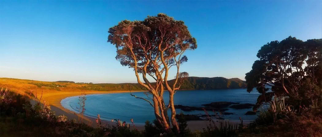 Matai Bay, Northland, New Zealand