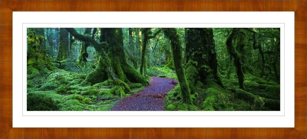 SERENE FIORDLAND - Image 3