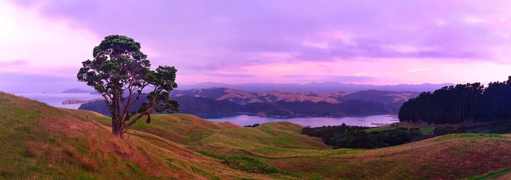 New Zealand Landscape Photography Coromandel Harbour. Coromandel Harbour and landscape scene at dawn with stunning pink light