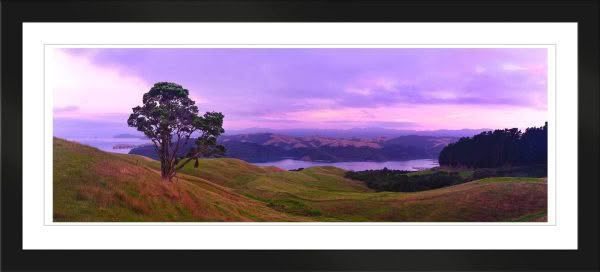 New Zealand Landscape Photography Coromandel Harbour