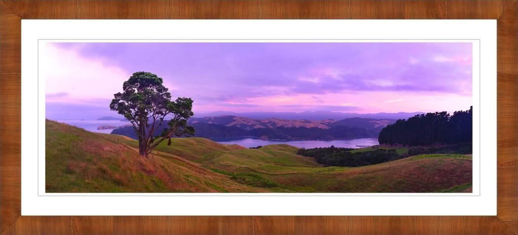 New Zealand Landscape Photography Coromandel Harbour