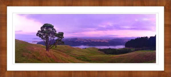 New Zealand Landscape Photography Coromandel Harbour