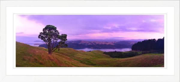 New Zealand Landscape Photography Coromandel Harbour