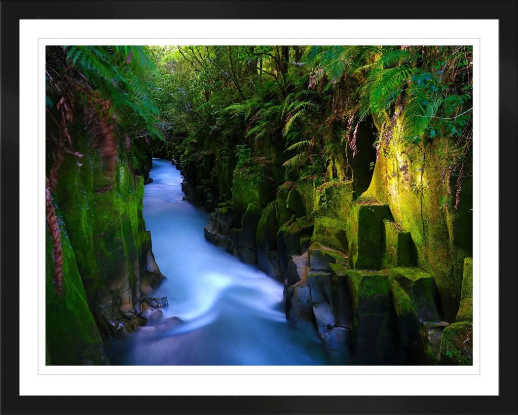 New Zealand landscape photography. Te Whaiti-Nui a Toi Canyon in Whirinaki Forest New Zealand