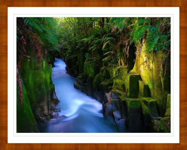 New Zealand landscape photography. Te Whaiti-Nui a Toi Canyon in Whirinaki Forest New Zealand