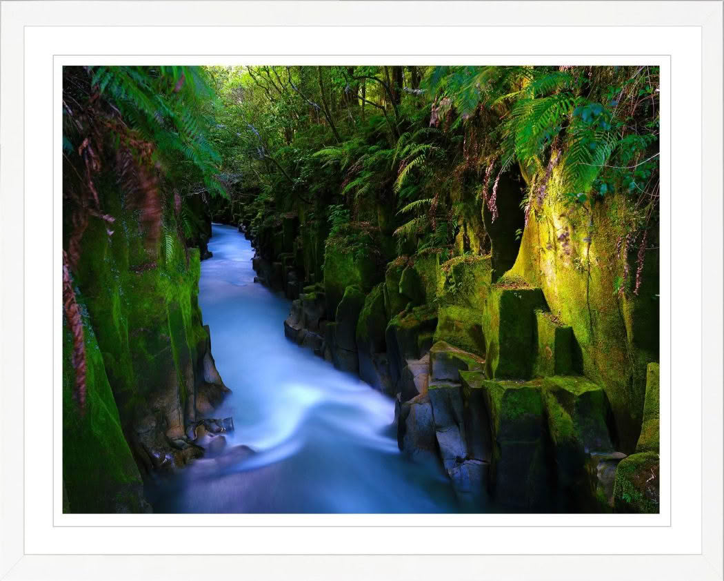 New Zealand landscape photography. Te Whaiti-Nui a Toi Canyon in Whirinaki Forest New Zealand