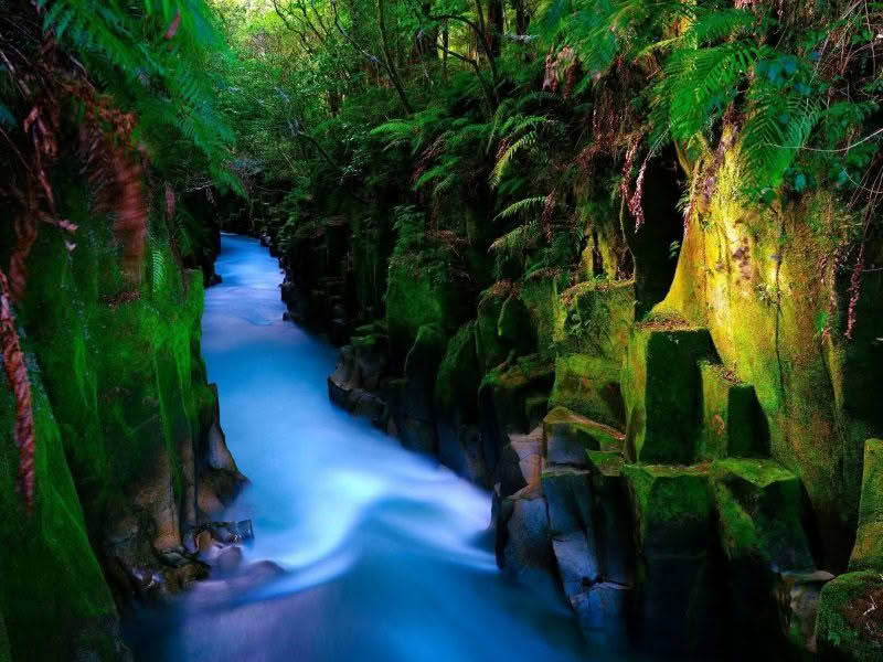 Te Whaiti-Nui a Toi Canyon in Whirinaki Forest New Zealand