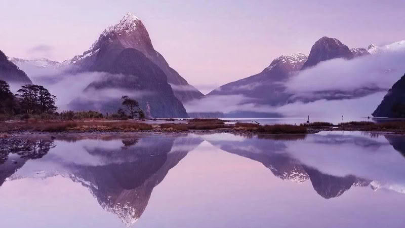 Fiordland