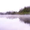 Mist gently envelops the headland at Lake Mapourika on New Zealand’s West Coast, creating a serene, atmospheric scene with the calm lake perfectly reflecting the landscape scene.