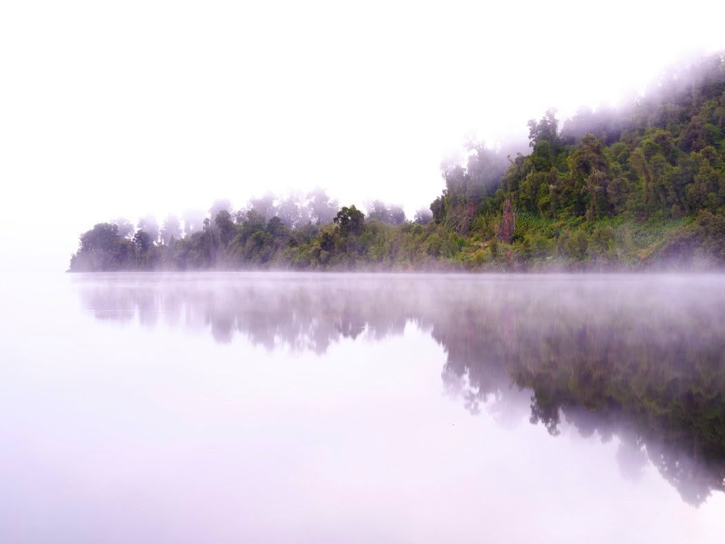 Mist gently envelops the headland at Lake Mapourika on New Zealand’s West Coast, creating a serene, atmospheric scene with the calm lake perfectly reflecting the landscape scene.