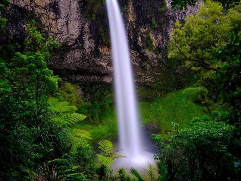 Coromandel, Waikato & BOP