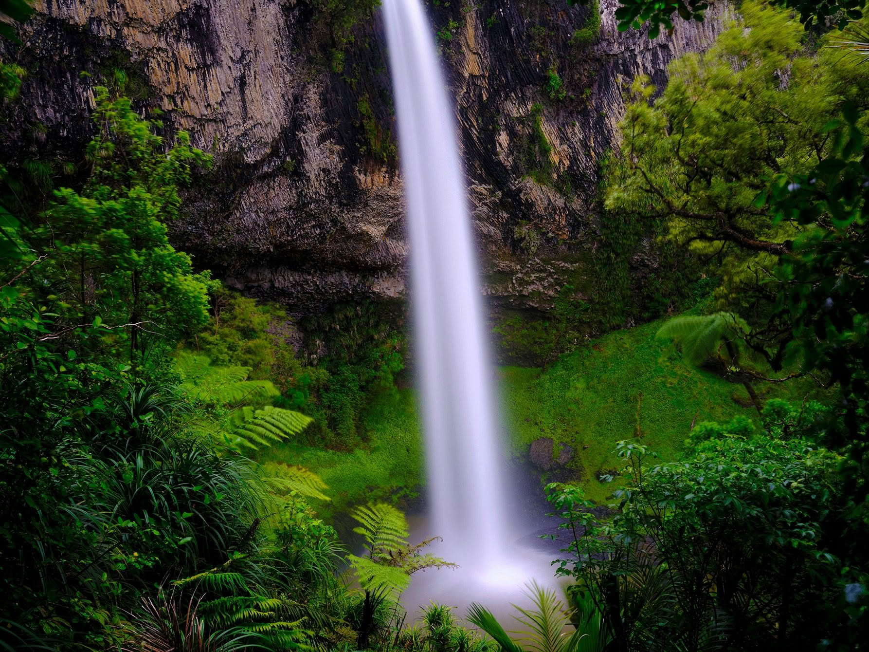 Bridal Veil Falls, Waikato New Zealand.