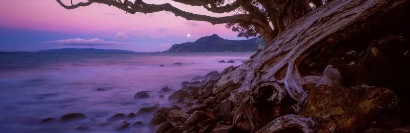 New Zealand landscape photography, Kuaotunu Beach at dawn with beautiful soft light, Coromandel Peninsula