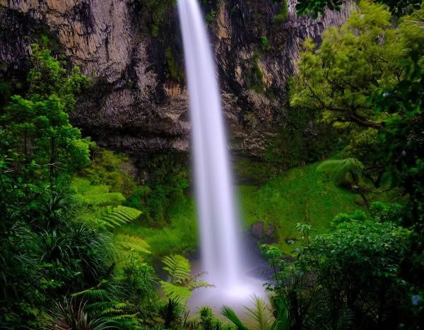 Bridal Veil Falls, Waikato near Raglan. Waterfall cascading down into a pool at the bottom with lush forest surrounds