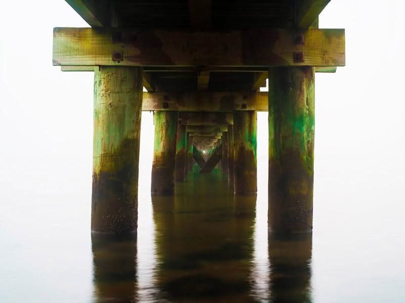 Endless. Taken underneath a jetty on a foggy morning the poles of the jetty disappear into the distance