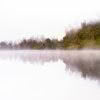 Mapourika Mist. Mist shrouds the headland and reflects in the still Lake Mapourika
