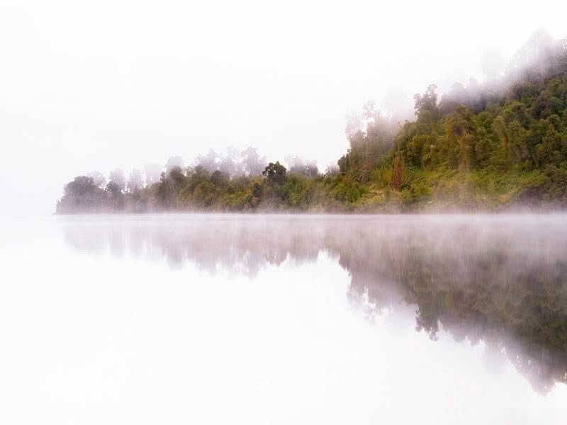 Mapourika Mist. Mist shrouds the headland and reflects in the still Lake Mapourika