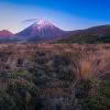 Mt Ngauruhoe at with beautiful dawn light and tussock in the foreground.