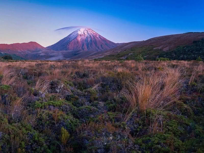 Mt Ngauruhoe at with beautiful dawn light and tussock in the foreground.