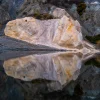Rock formations reflected in the calm waters of Blue Lake at St Bathans in the Maniototo, Central Otago.