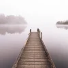 Wooden jetty extending into mist over Lake Mapourika on the West Coast of New Zealand