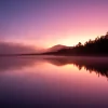 Lake Paringa with pink and purple light reflected through mist on the West Coast of New Zealand