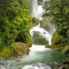 Mackay Falls surrounded by native rainforest in Fiordland, New Zealand