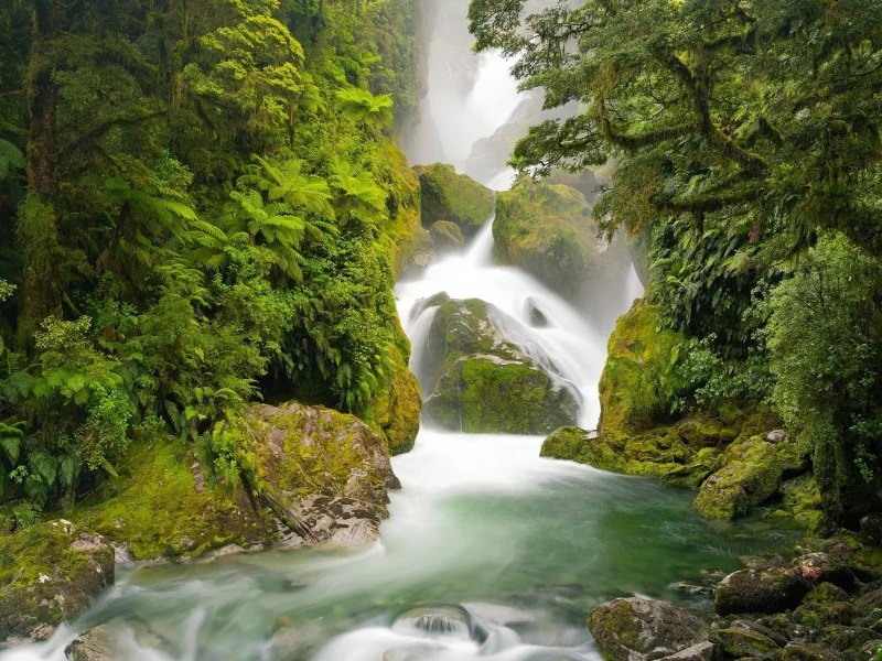 Mackay Falls surrounded by native rainforest in Fiordland, New Zealand
