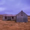 Maniototo Dawn, old rural homestead beneath a soft dawn sky in Central Otago, New Zealand.