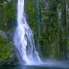 Stirling Falls cascading through rainforest-covered cliffs in Milford Sound, Fiordland, New Zealand