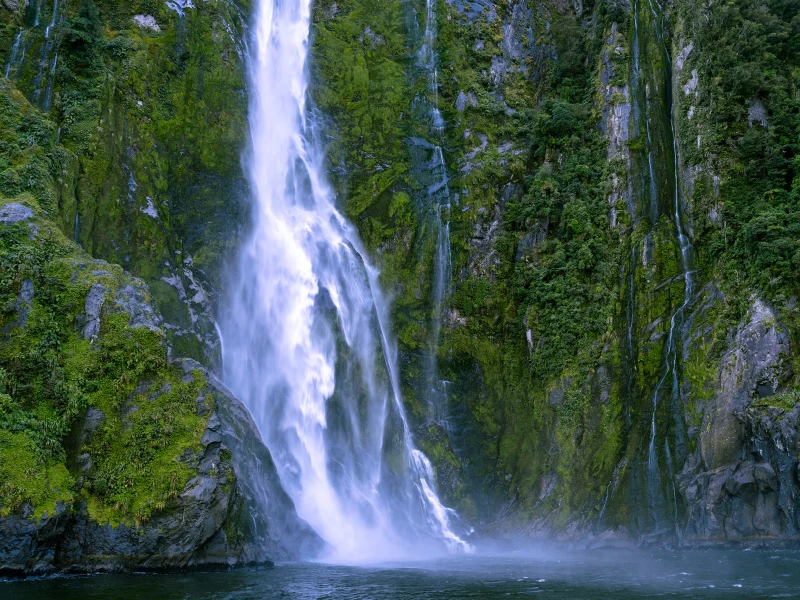 Stirling Falls cascading through rainforest-covered cliffs in Milford Sound, Fiordland, New Zealand